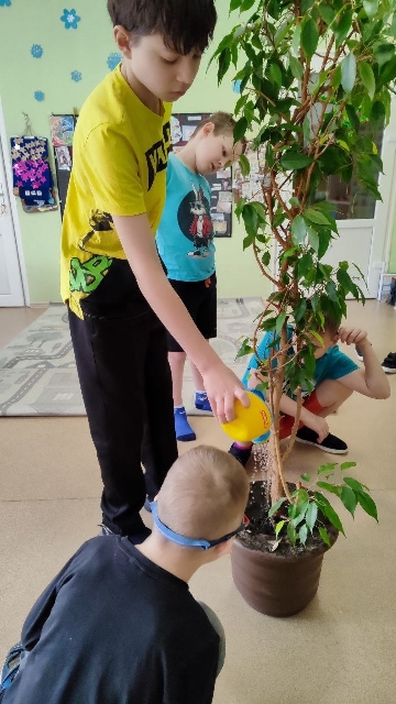 🌿 �������������� � ��������