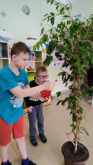 🌿 �������������� � ��������