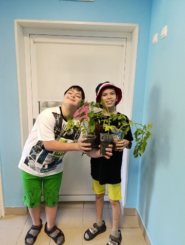 &#127793;  :      