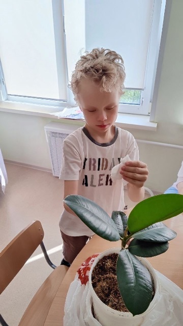 🌱Посей огород 🌱Посей огород