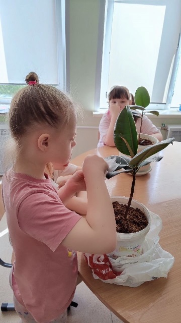 🌱Посей огород 🌱Посей огород